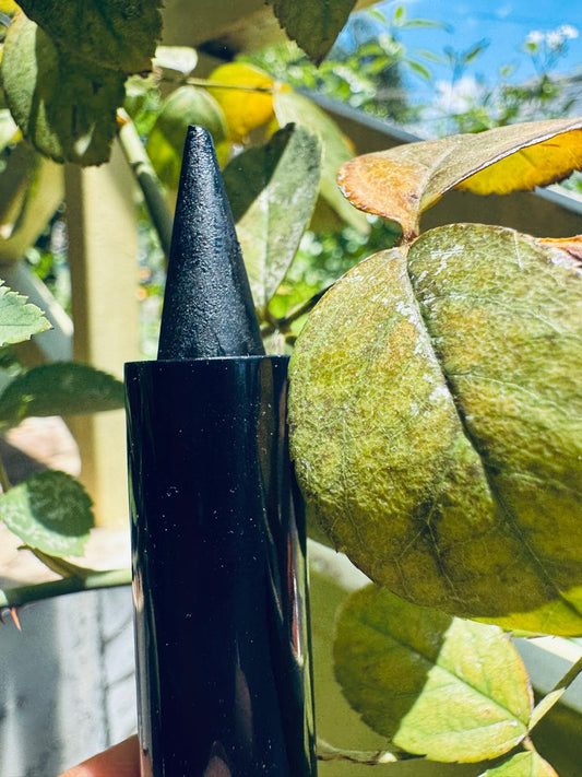 Kajal Stick